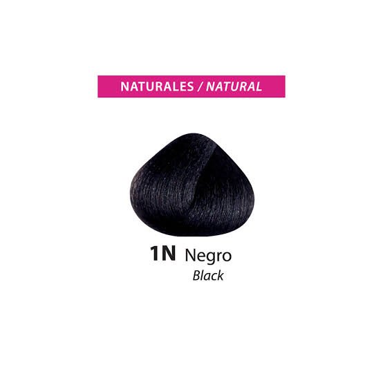 COLOR FLEX TINTE DE CABELLO ( NEGRO BLACK )
